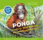 Preview: PONGA – das Orang-Utan-Mädchen und seine Freunde im Zoo